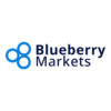 Blueberry Markets